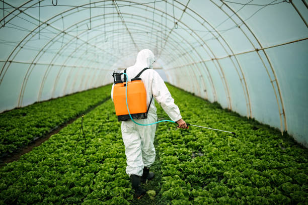 Best Pest Control Near Me  in Richland, PA