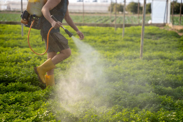 Best Commercial Pest Control Services  in Richland, PA