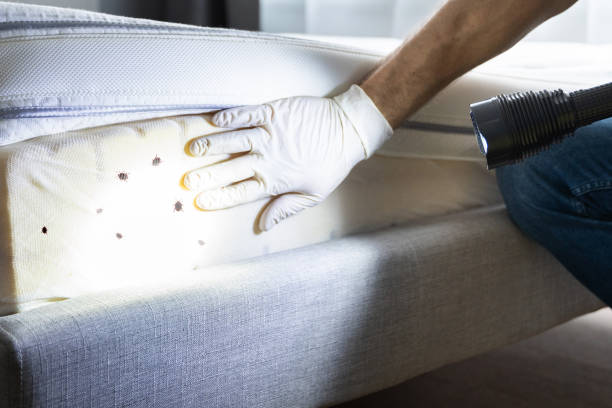 Best Wildlife Control Services  in Richland, PA