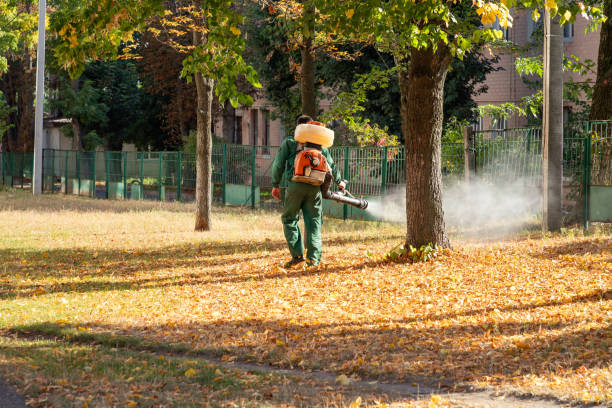 Best Rodent Control Near Me  in Richland, PA