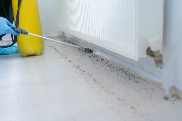 Best Cockroach Control Services  in Richland, PA