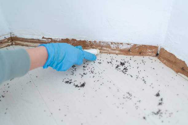 Best Pest Removal Services  in Richland, PA