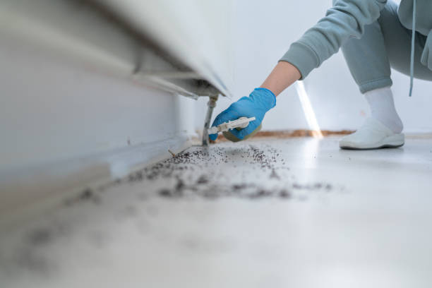 Best Residential Pest Control  in Richland, PA